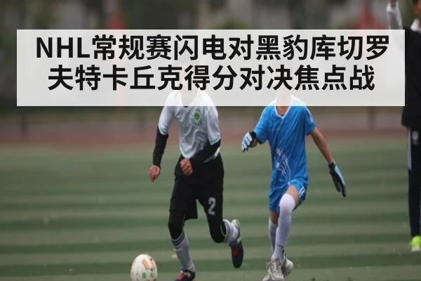 NHL常规赛闪电对黑豹库切罗夫特卡丘克得分对决焦点战 - kaiyun